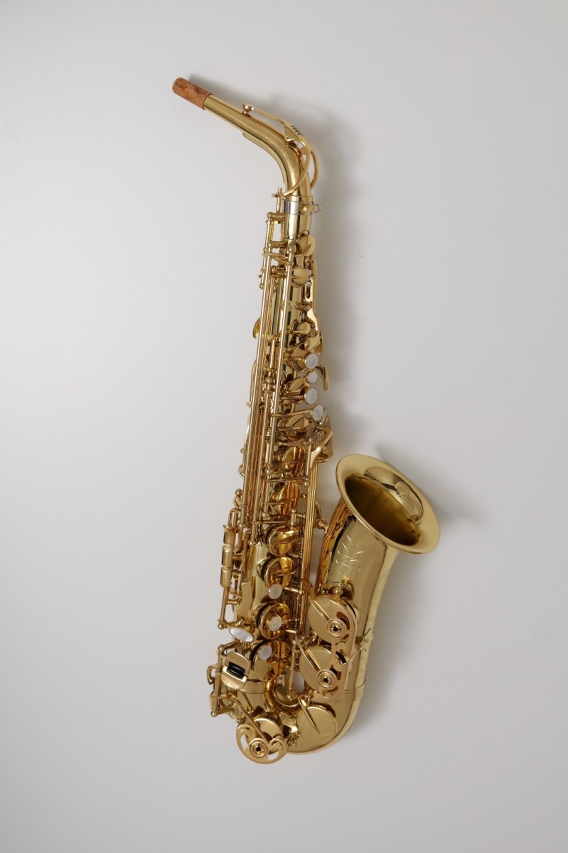 画像3: XYZ - Alto Accent (3)