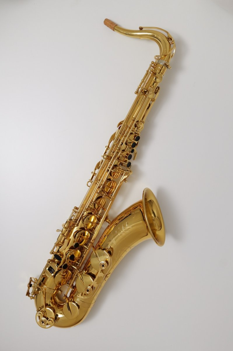 画像3: XYZ - Tenor Pro (3)