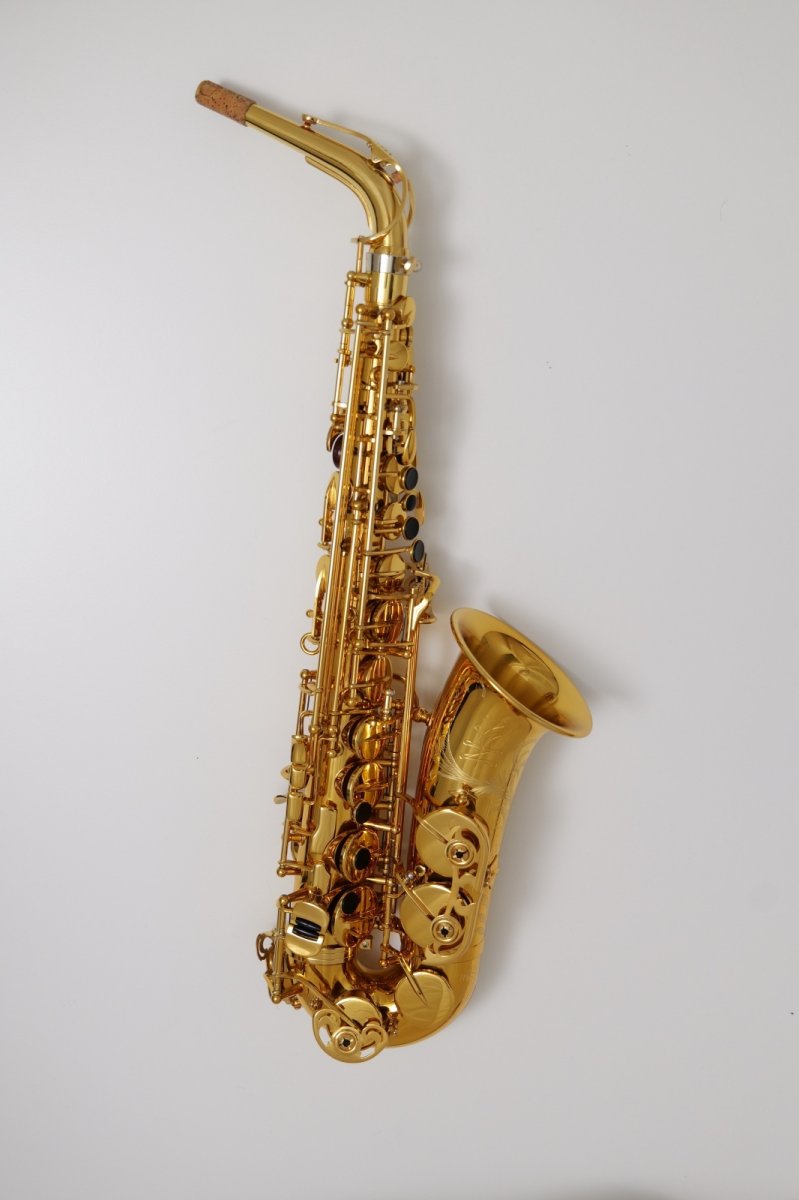 画像3: XYZ - Alto Artist (3)