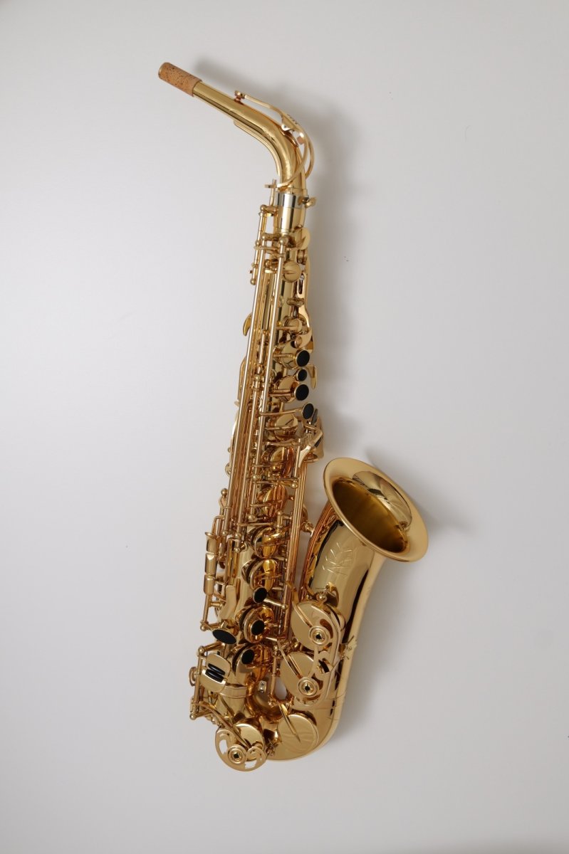 画像3: XYZ - Alto Pro (3)