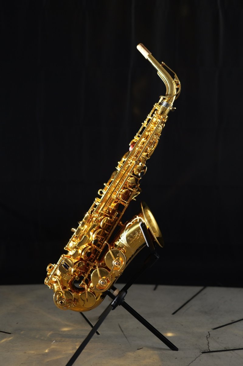 画像1: XYZ - Alto Artist (1)