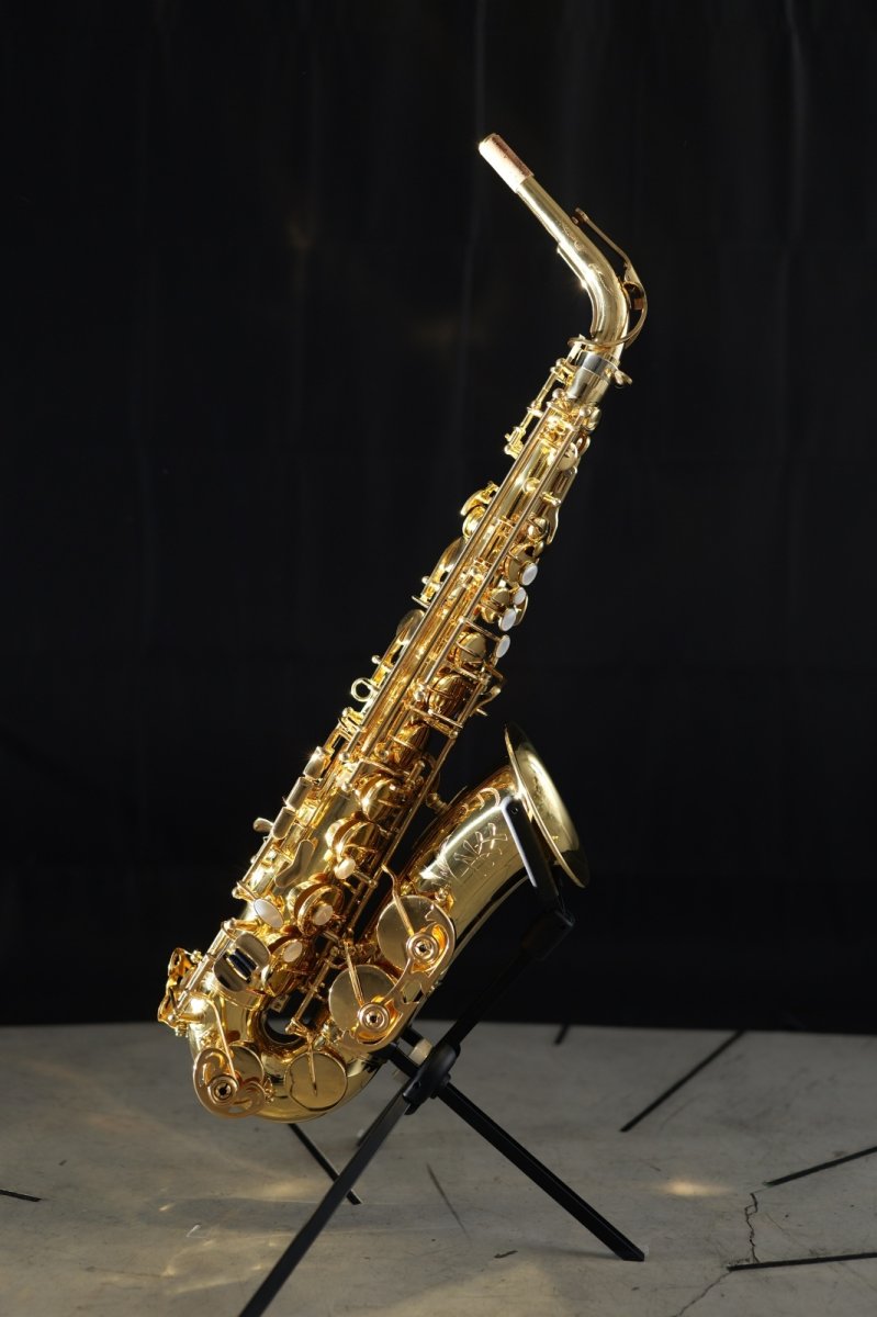 画像1: XYZ - Alto Accent (1)