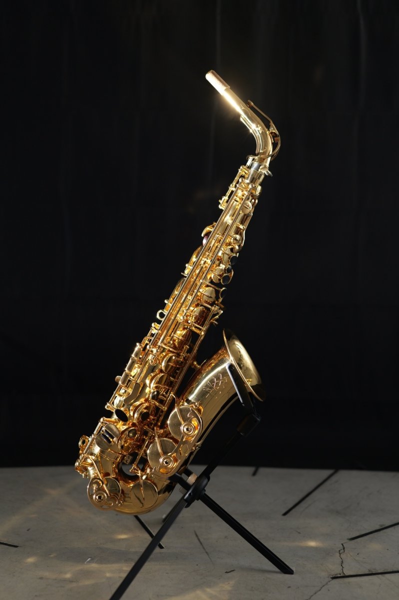 画像1: XYZ - Alto Pro (1)