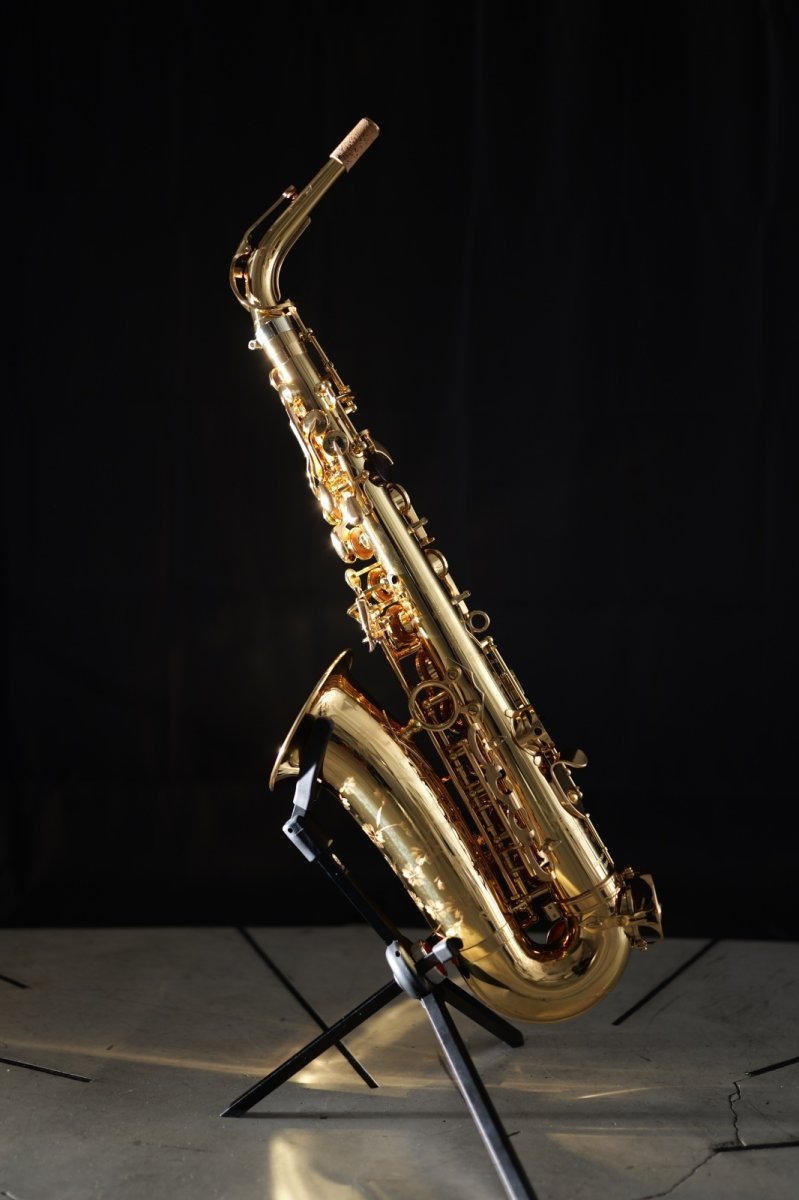 画像2: XYZ - Alto Pro (2)