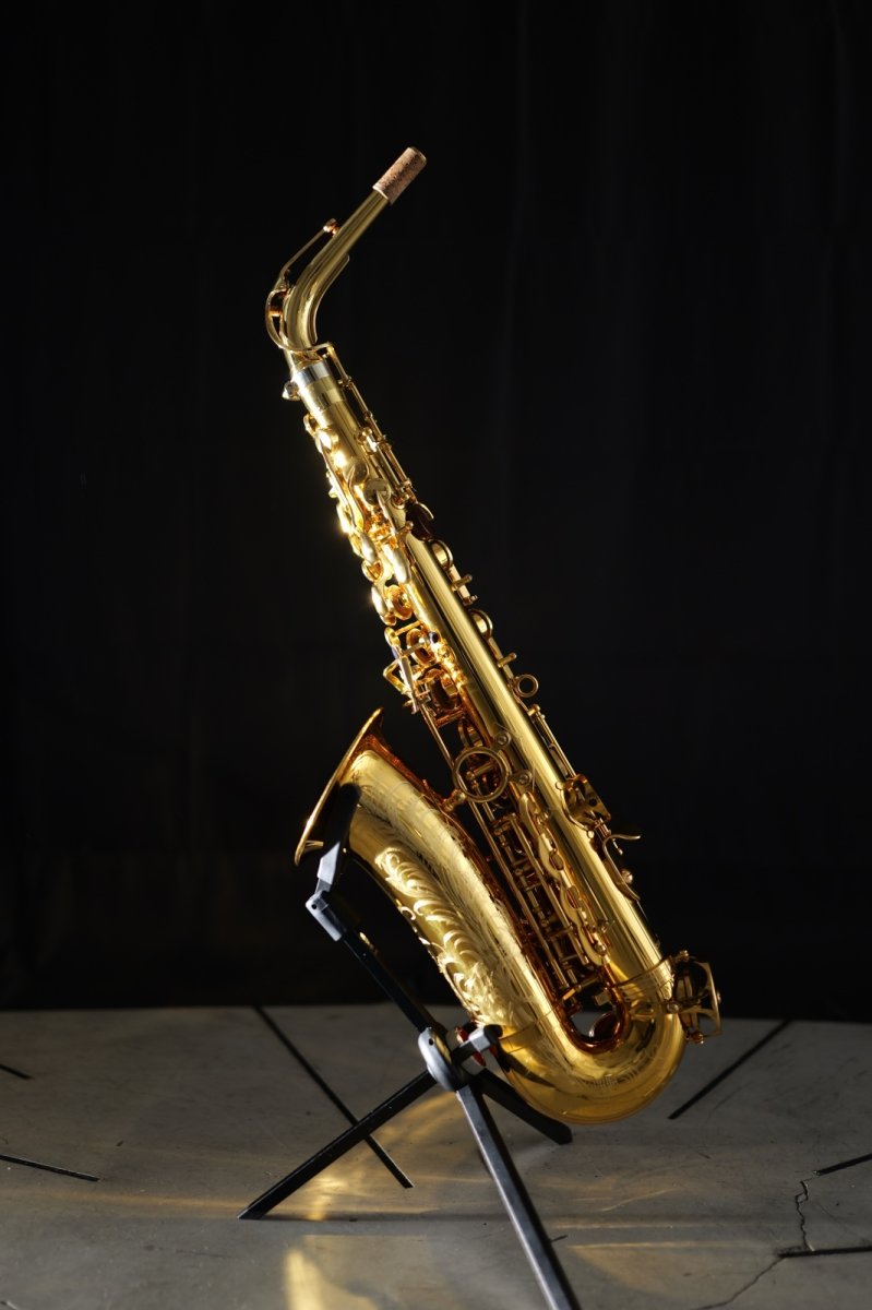 画像2: XYZ - Alto Artist (2)