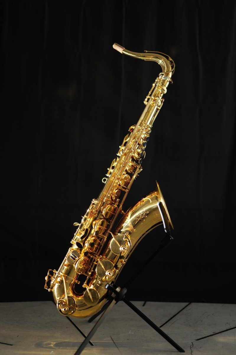画像1: XYZ - Tenor Pro (1)