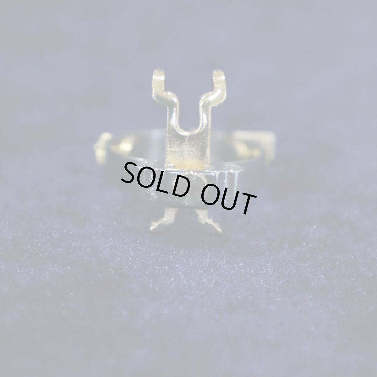画像1: JLV Ligature Platina (1)