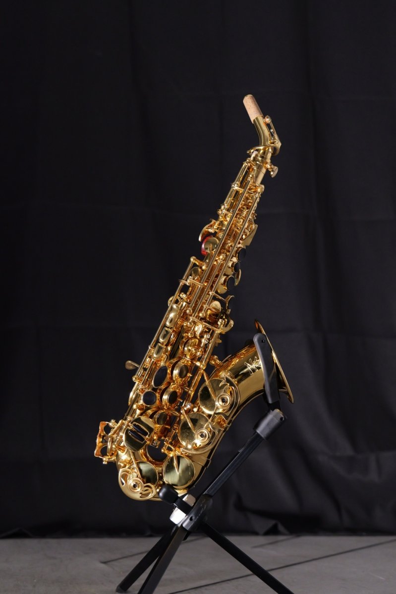 画像1: XYZ - Soprano Curved Pro【予約受付中】 (1)