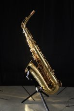 画像2: XYZ - Alto Accent (2)