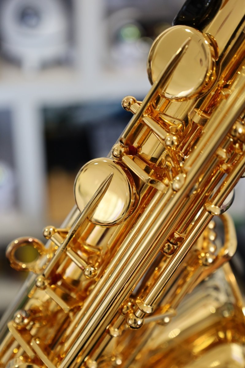 画像9: YAMAHA YAS-875EXG (9)