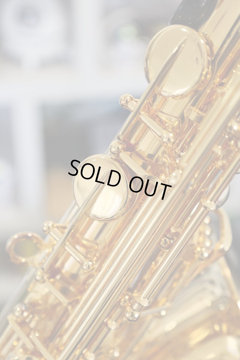 画像9: YAMAHA YAS-875EXG (9)