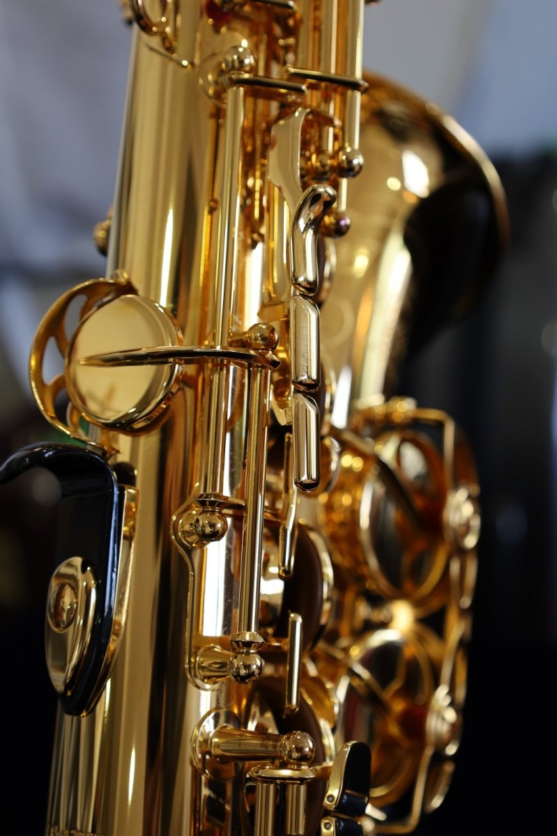 画像10: YAMAHA YAS-875EXG (10)