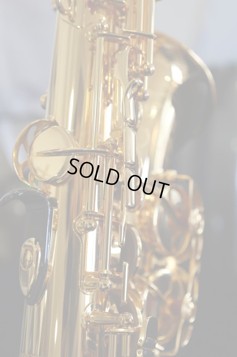 画像10: YAMAHA YAS-875EXG (10)