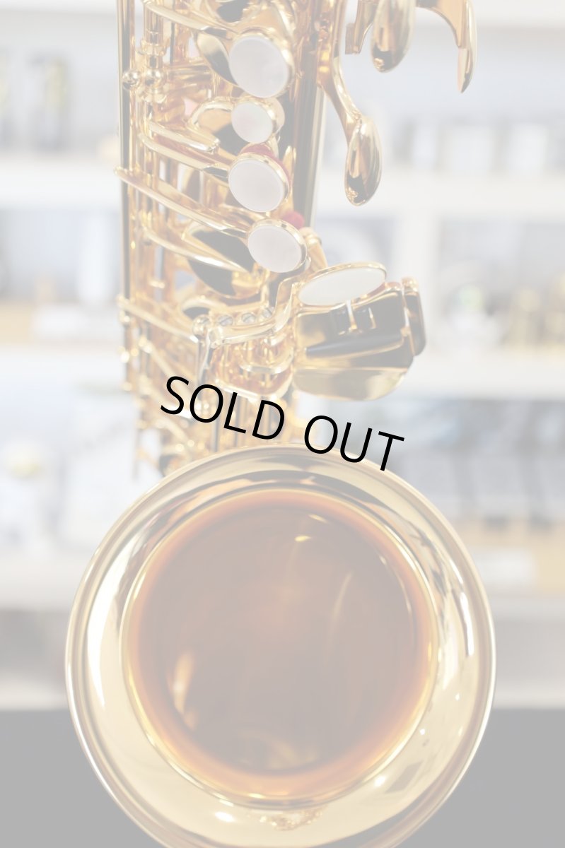 画像6: YAMAHA YAS-875EXG (6)