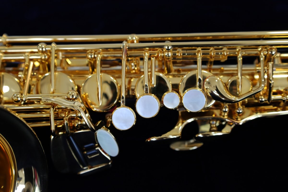 画像15: YAMAHA YAS-875EXG (15)