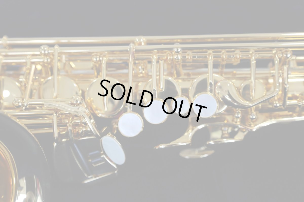 画像15: YAMAHA YAS-875EXG (15)