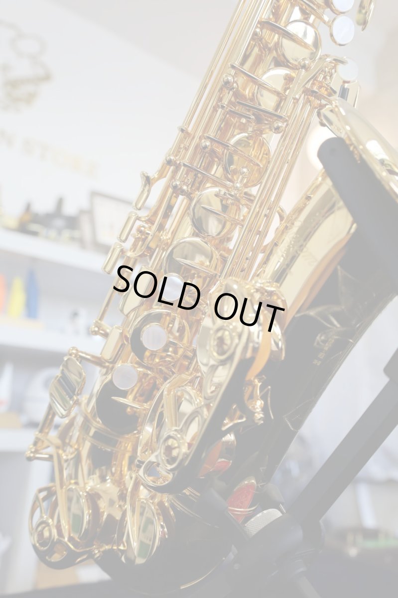 画像13: YAMAHA YAS-875EXG (13)