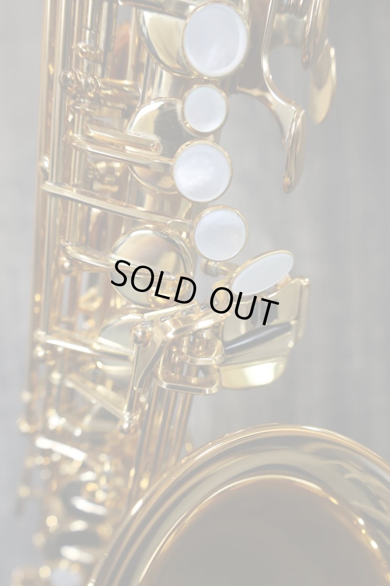 画像10: YAMAHA YAS-875EX 田中靖人氏選定品 (10)