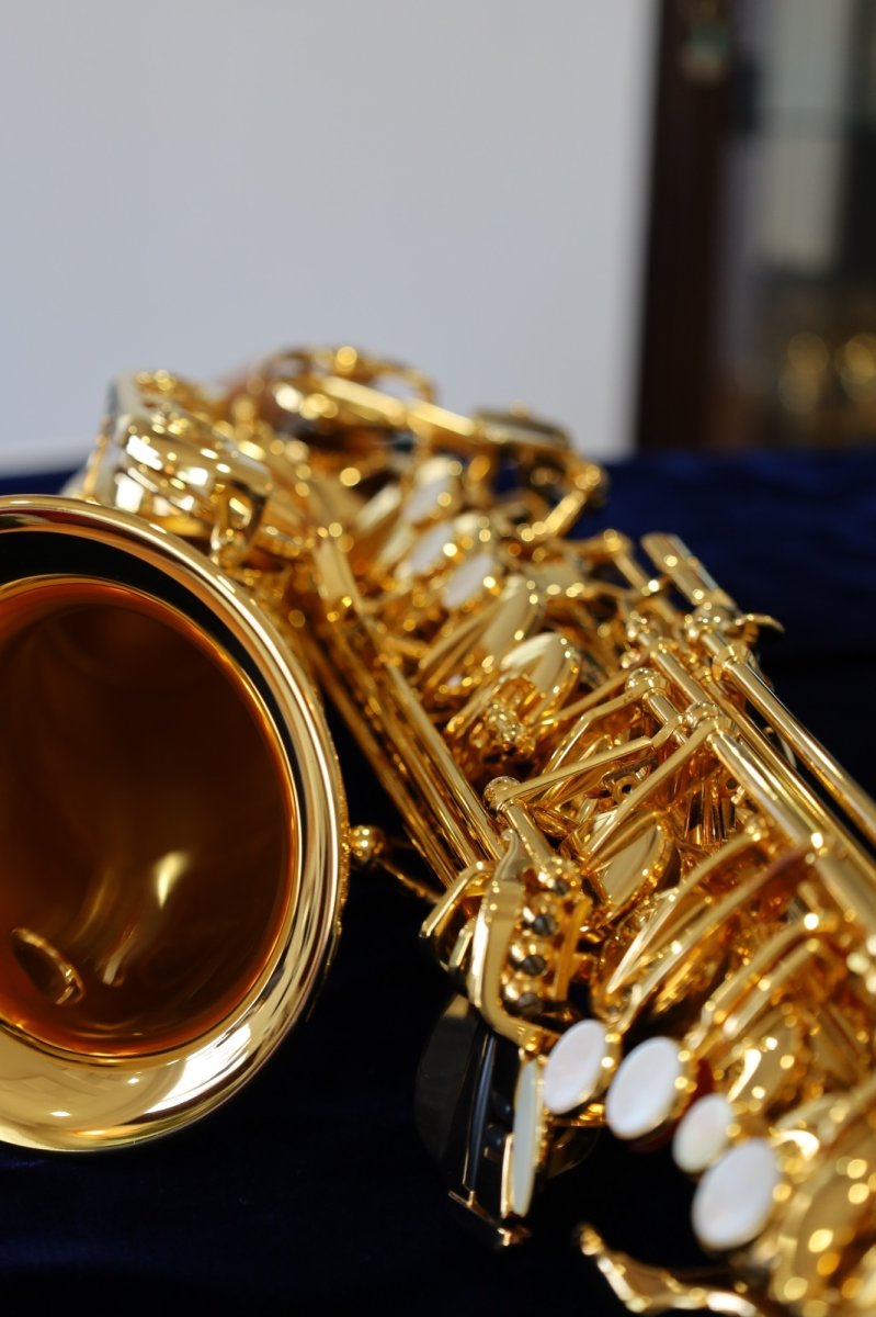 画像16: YAMAHA YAS-875EXG (16)