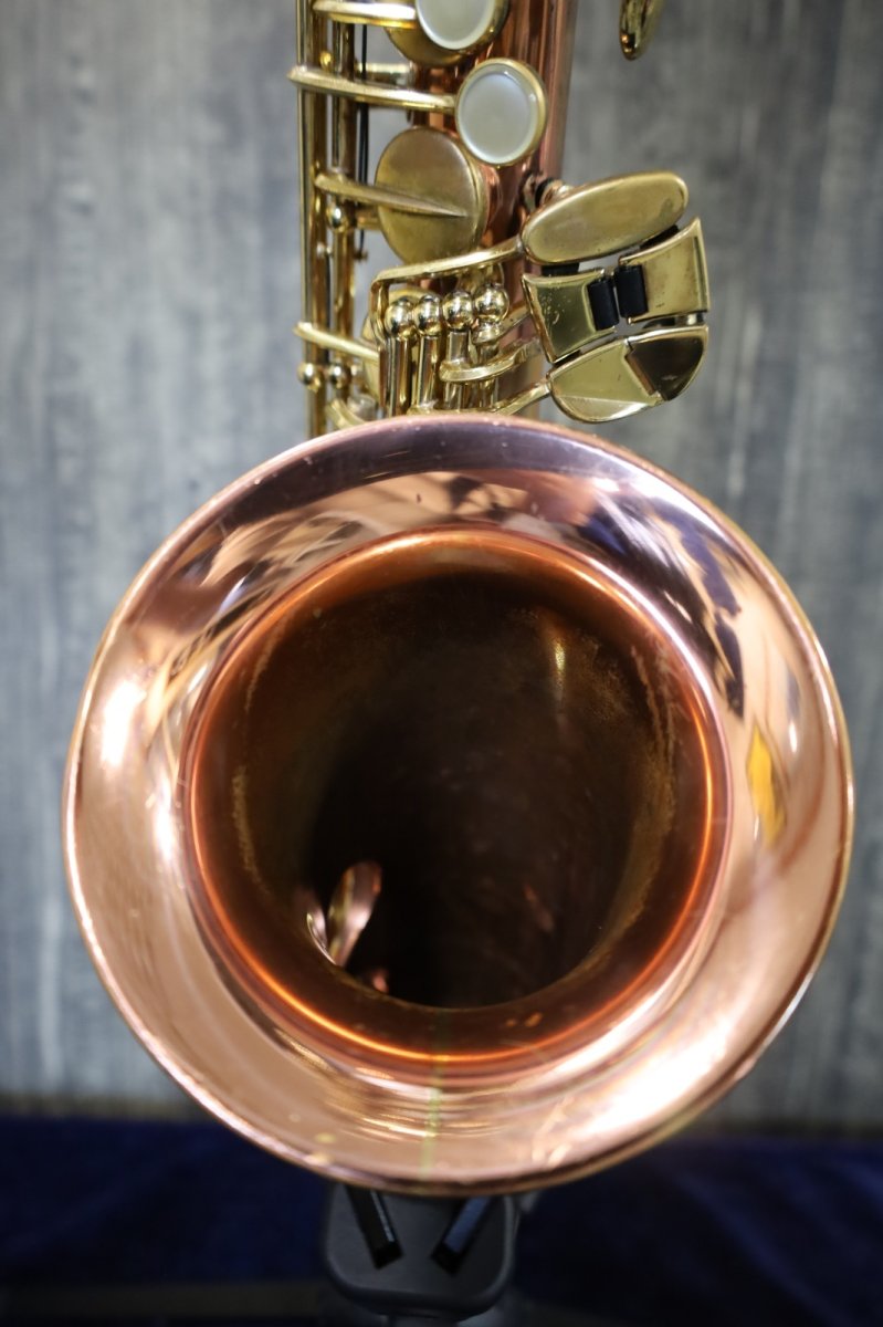 画像15: Buffet Crampon S1 Prestige [34xxx] (15)