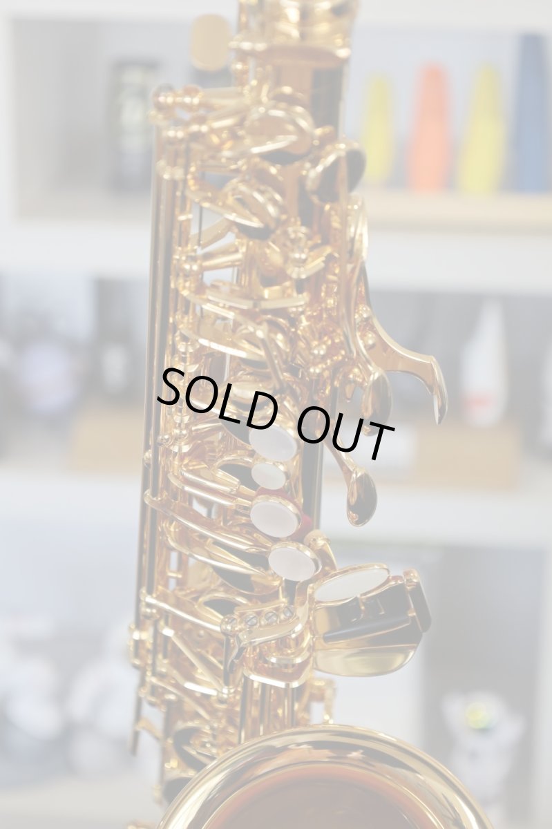 画像11: YAMAHA YAS-875EXG (11)