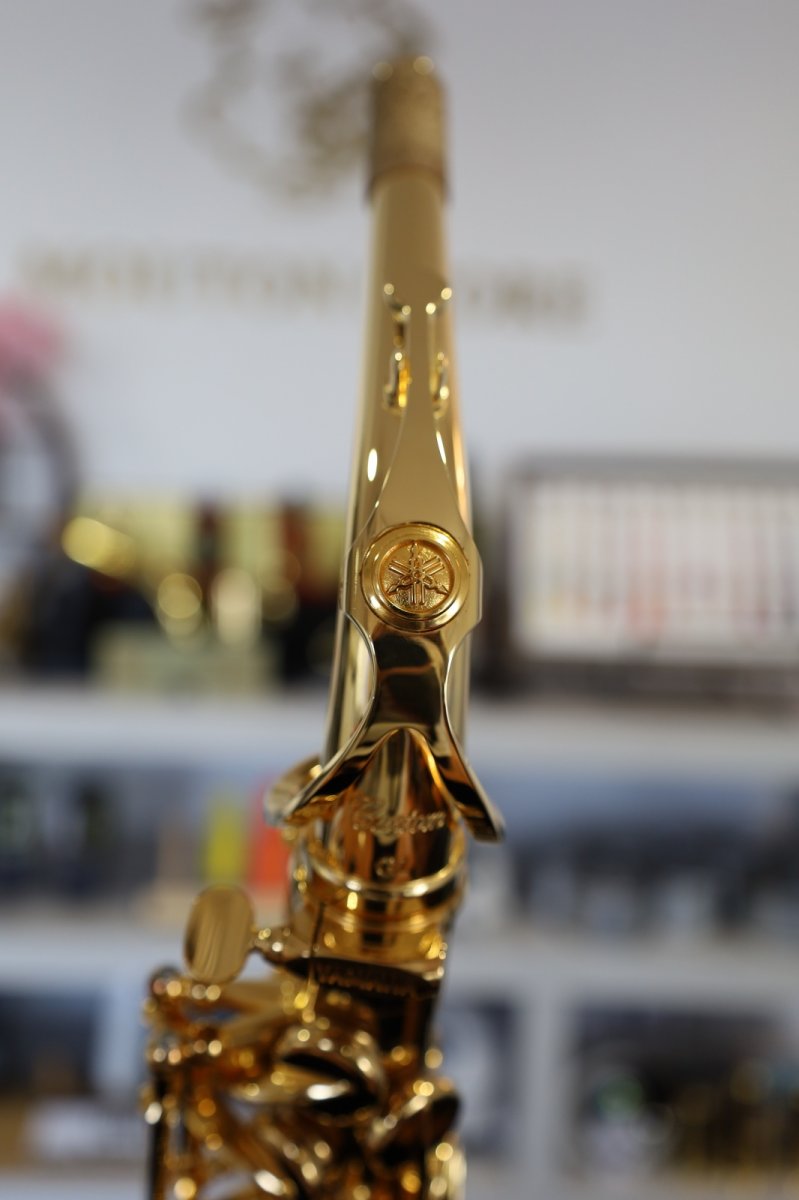 画像5: YAMAHA YAS-875EXG (5)