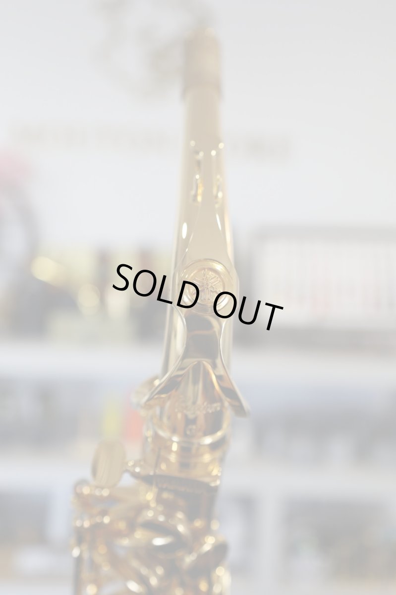 画像5: YAMAHA YAS-875EXG (5)