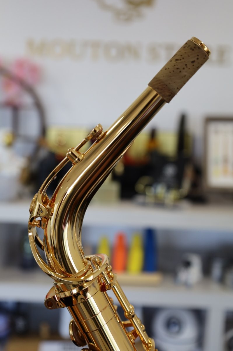 画像8: YAMAHA YAS-875EXG (8)