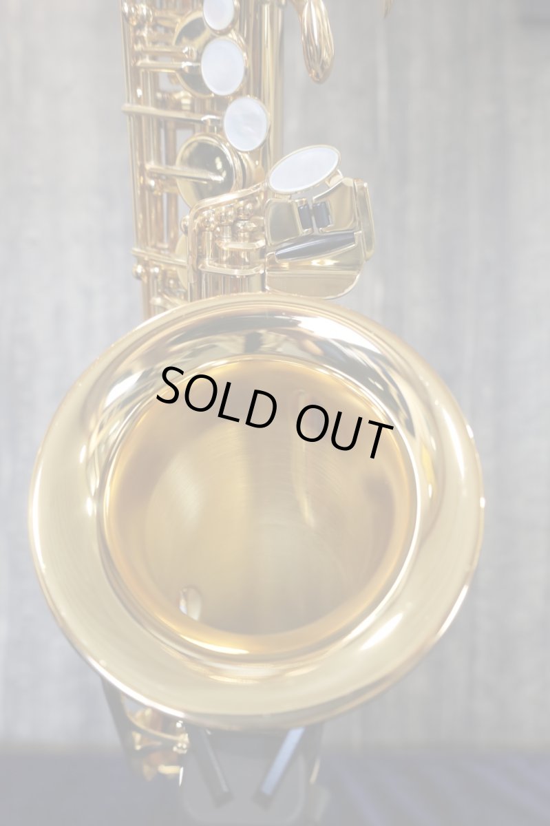 画像15: YAMAHA YAS-875EX 田中靖人氏選定品 (15)