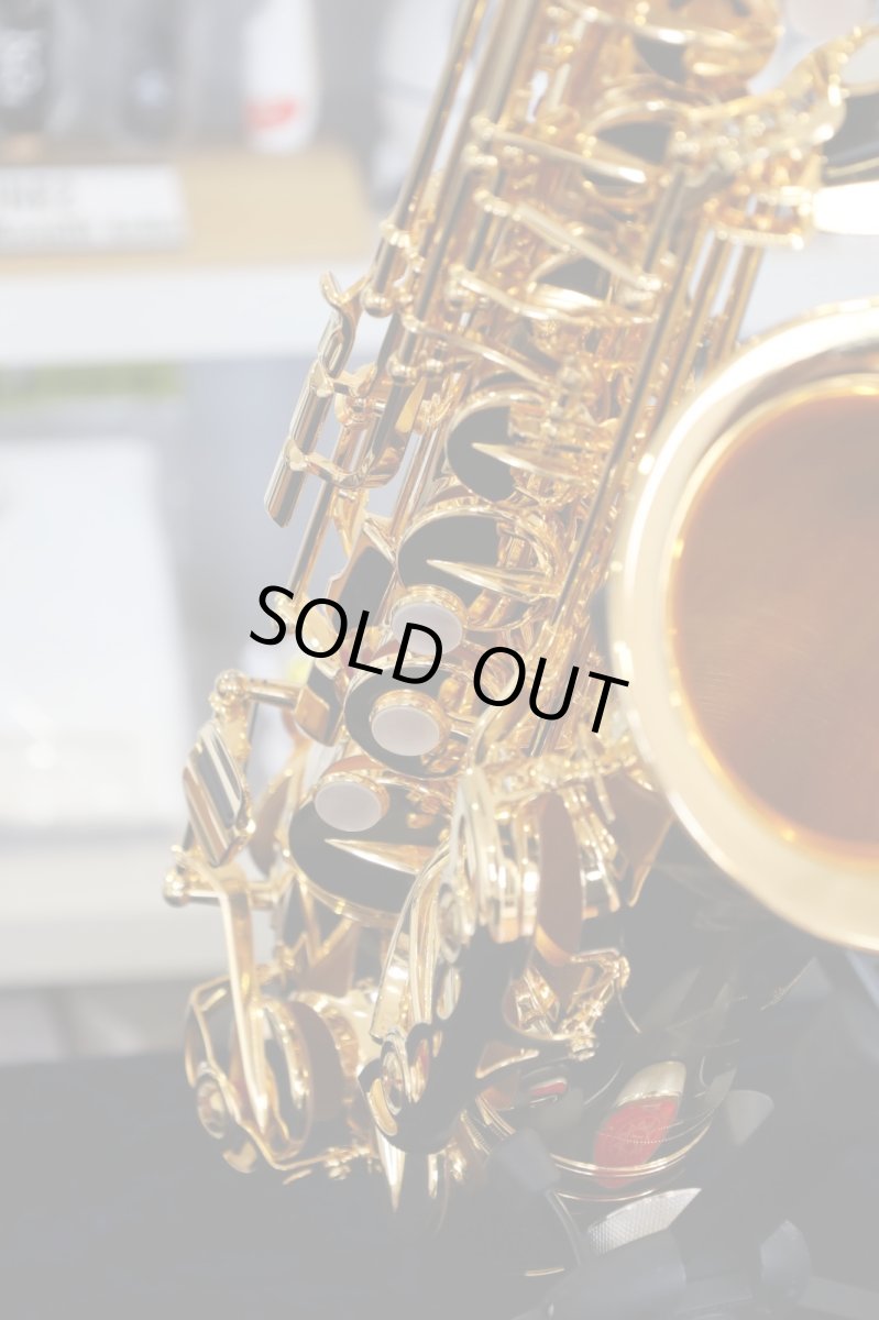 画像12: YAMAHA YAS-875EXG (12)