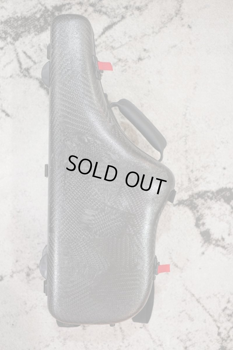 画像1: A-Case【Selmer AltoSaxophone用】 (1)