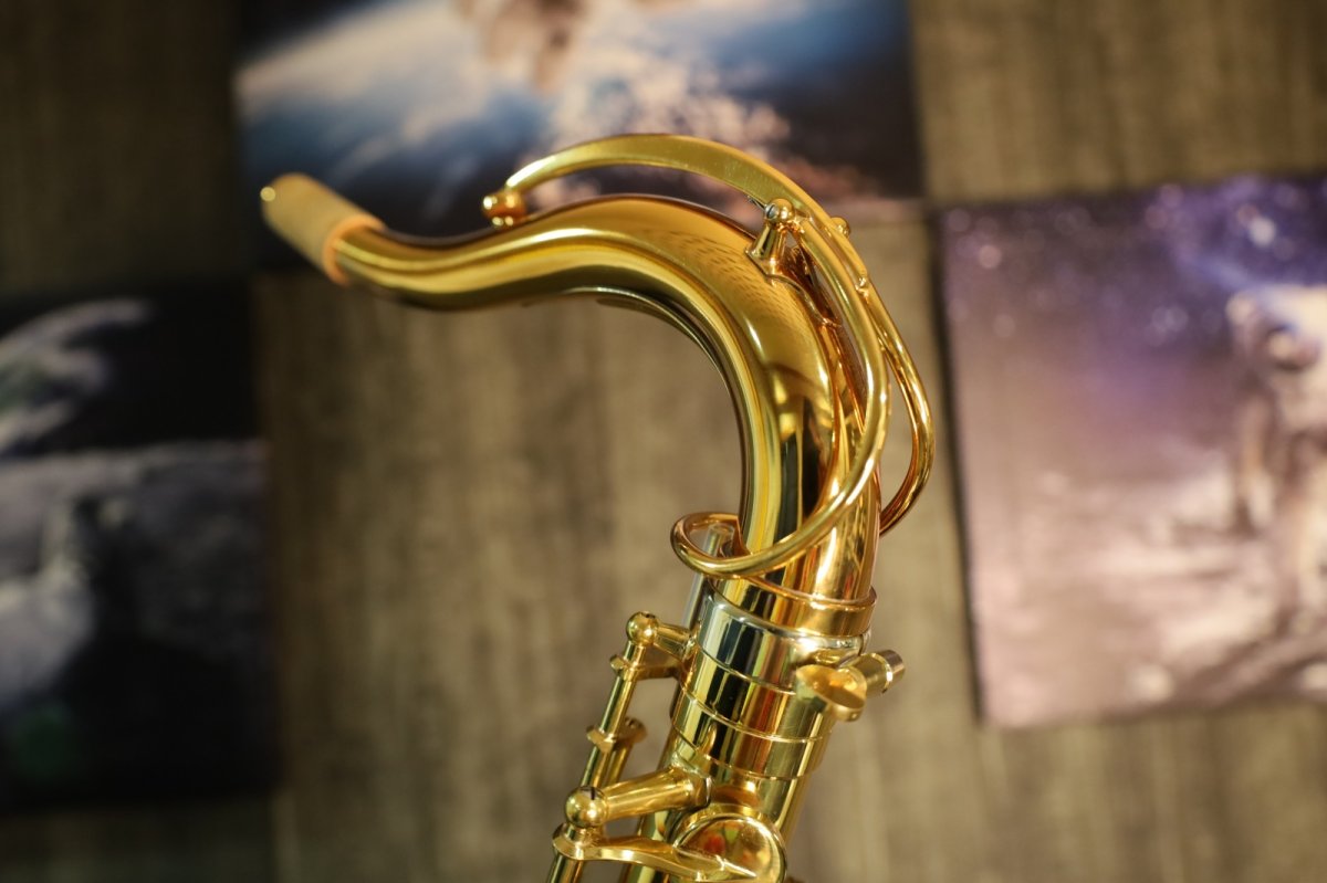 画像3: SAX PISTOLS ゴールド・エクスペリエンスAct.1【TenorSax Neck】 (3)