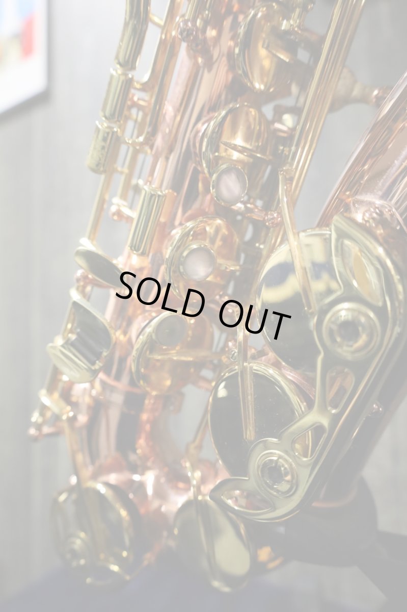 画像4: Buffet Crampon Senzo (4)