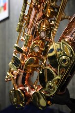 画像4: Buffet Crampon Senzo (4)