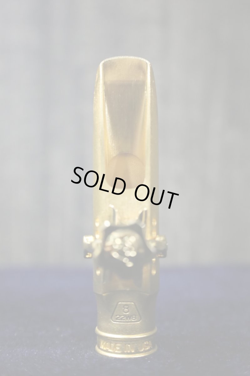 画像2: TheoWanne LAKSHMI 8 (2)