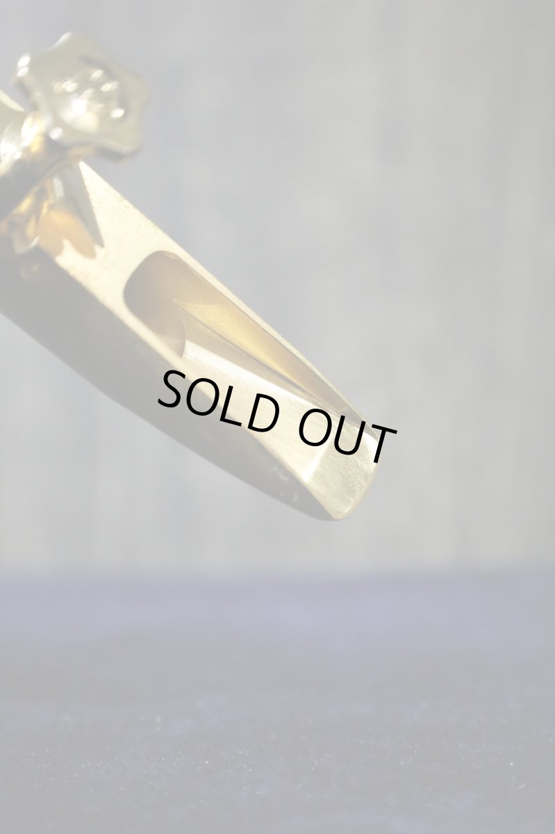 画像9: TheoWanne LAKSHMI 8 (9)