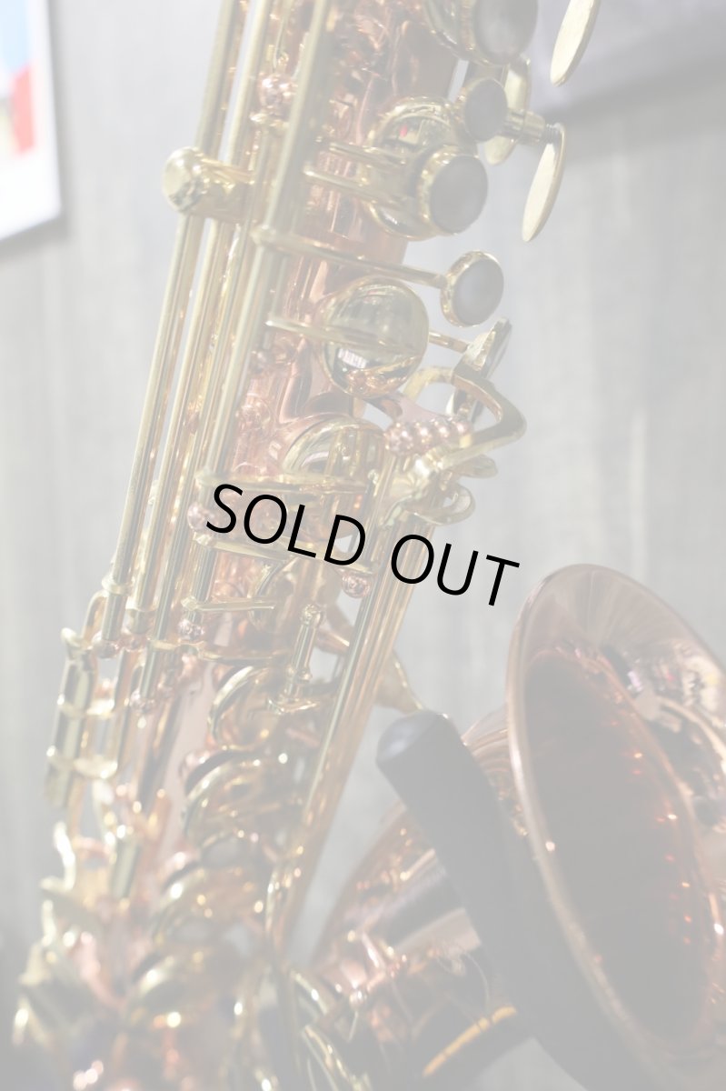 画像5: Buffet Crampon Senzo (5)