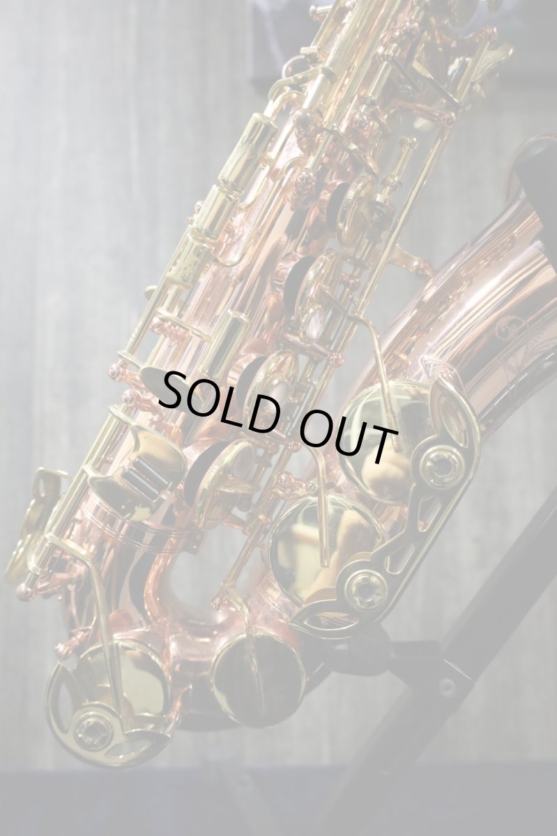 画像3: Buffet Crampon Senzo (3)