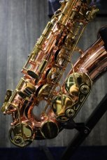 画像3: Buffet Crampon Senzo (3)