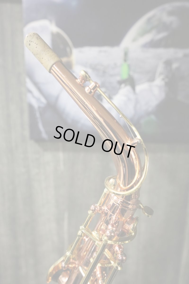 画像8: Buffet Crampon Senzo (8)