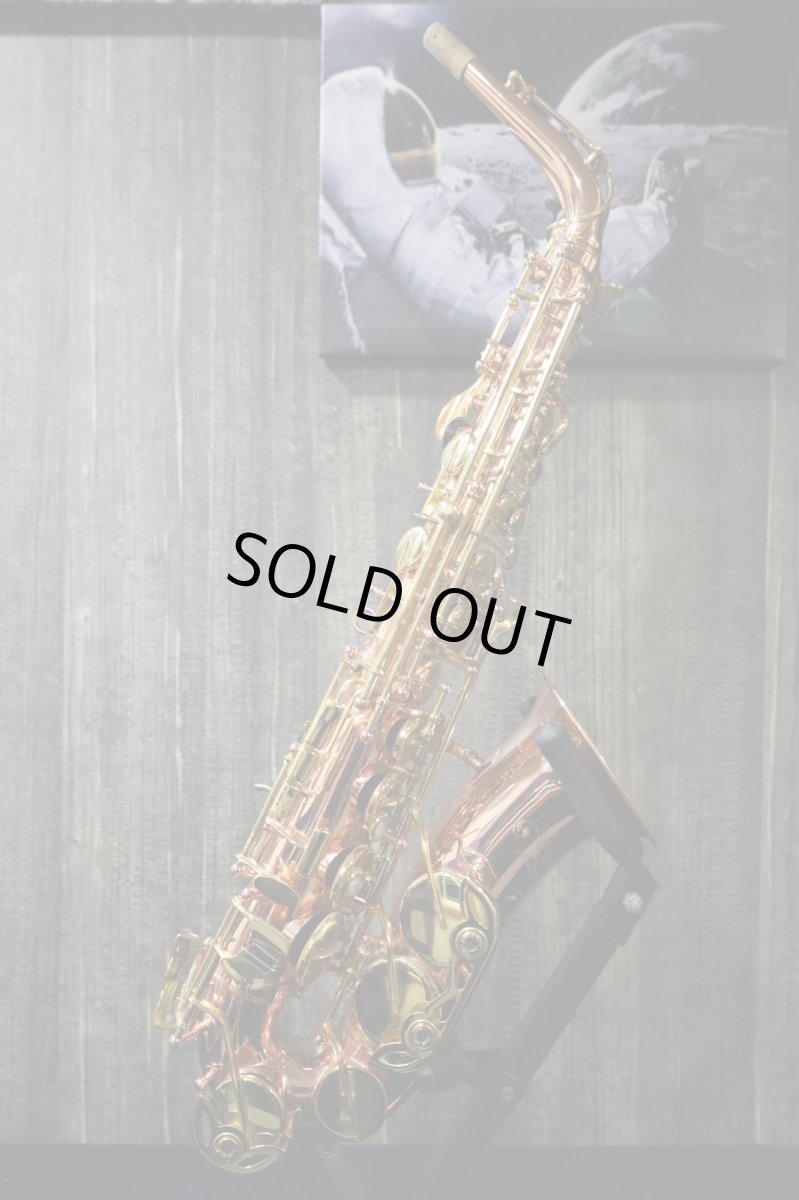 画像2: Buffet Crampon Senzo (2)