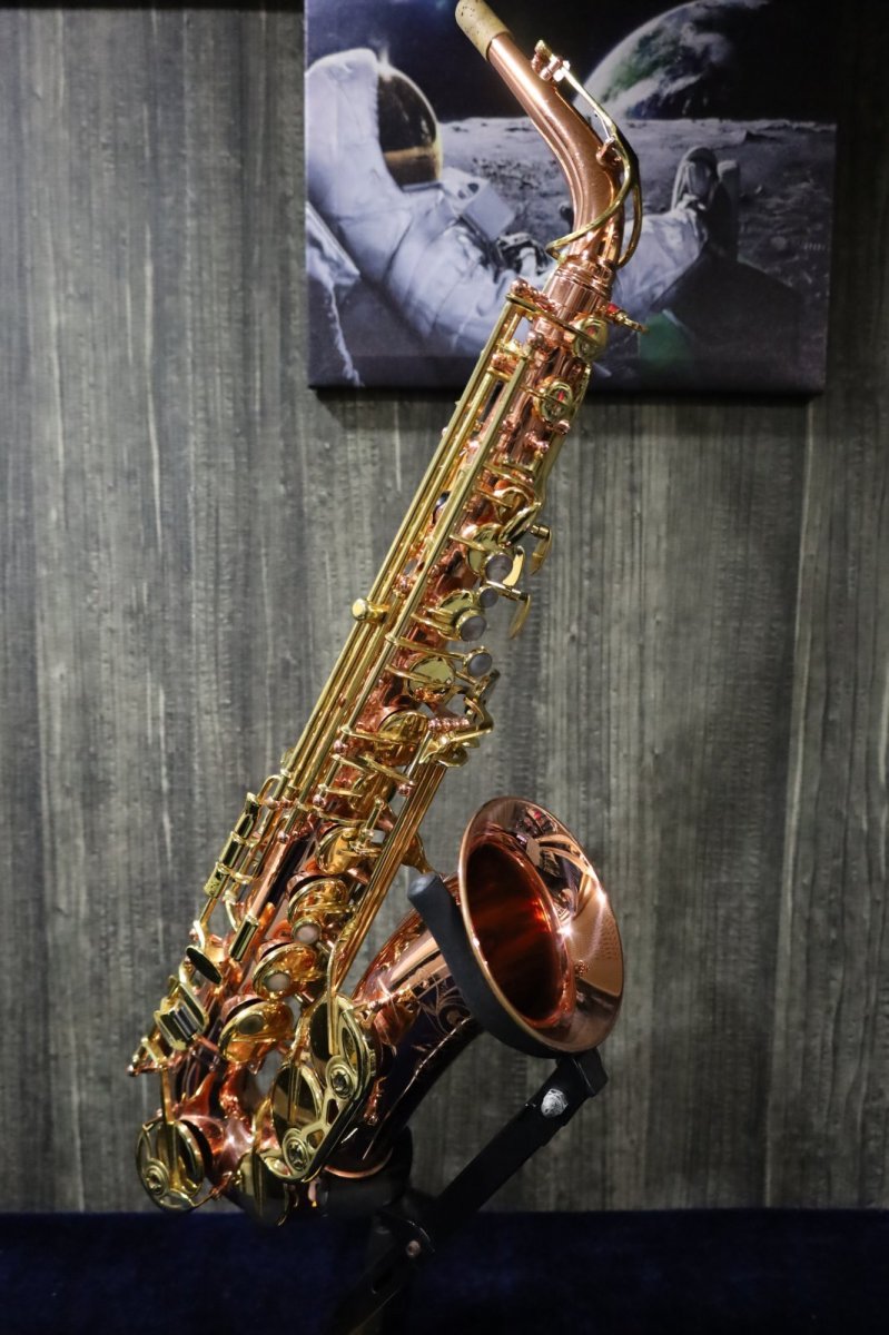 画像1: Buffet Crampon Senzo (1)