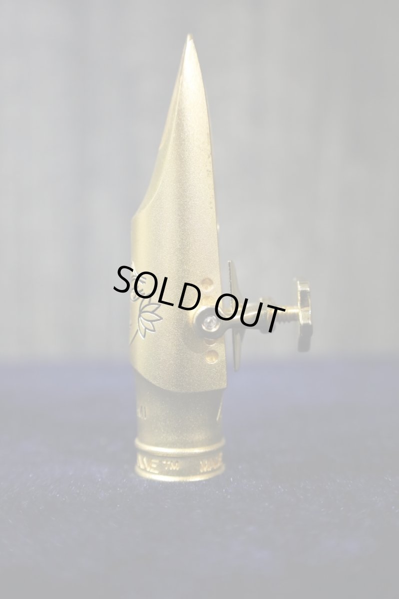 画像5: TheoWanne LAKSHMI 8 (5)