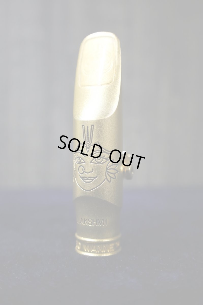 画像7: TheoWanne LAKSHMI 8 (7)