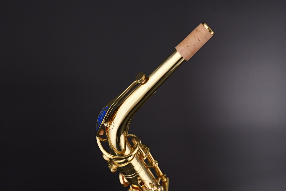画像12: Selmer Prologue Alto Saxophone (12)