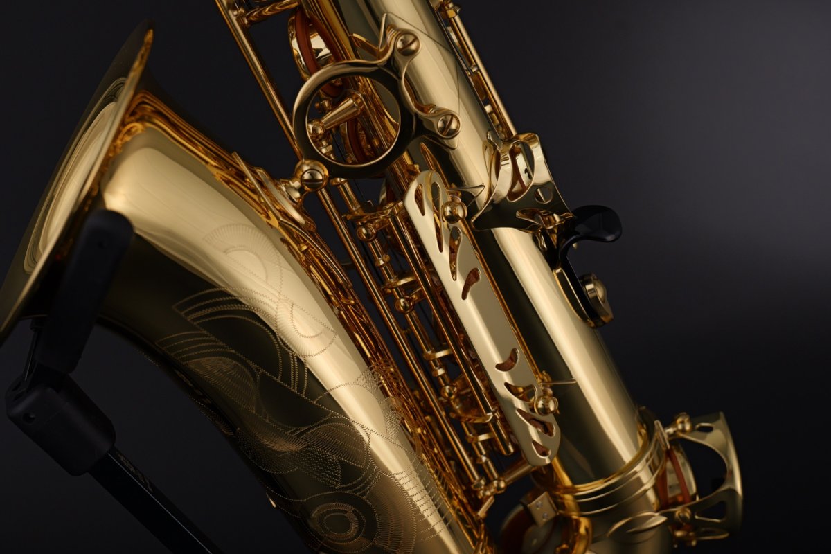 画像10: Selmer Prologue Alto Saxophone (10)