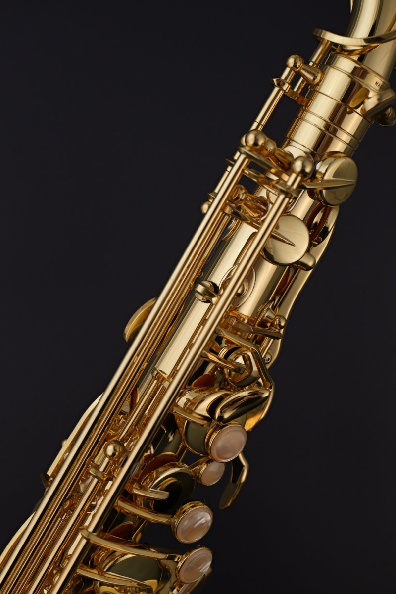 画像5: Selmer Prologue Alto Saxophone (5)