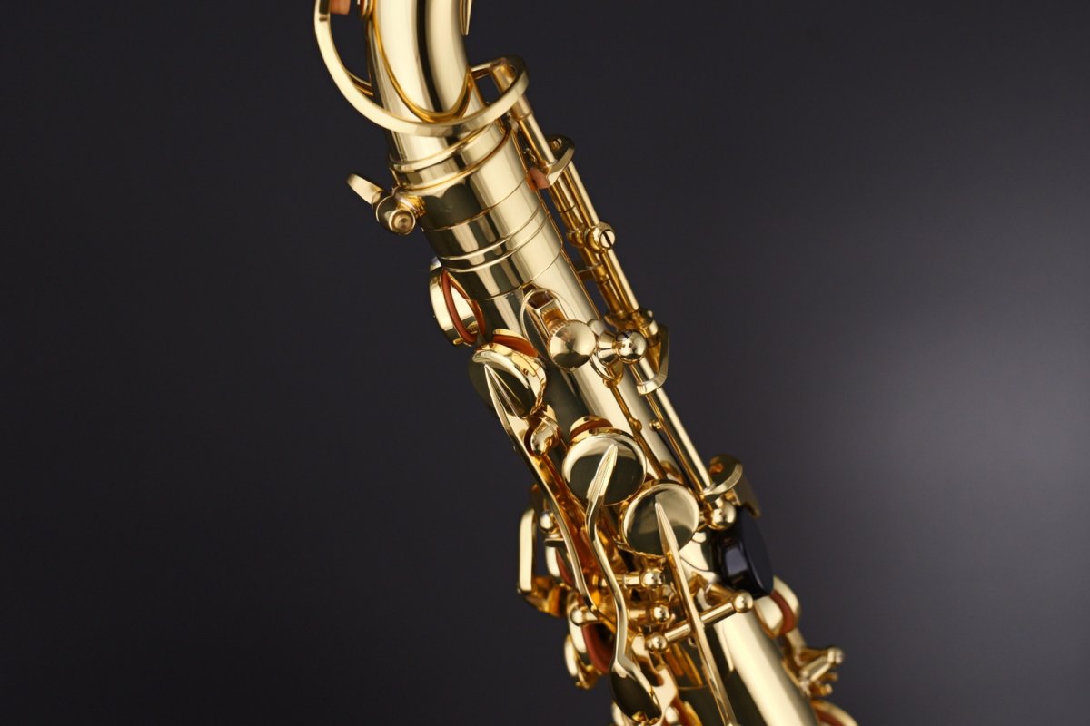 画像11: Selmer Prologue Alto Saxophone (11)