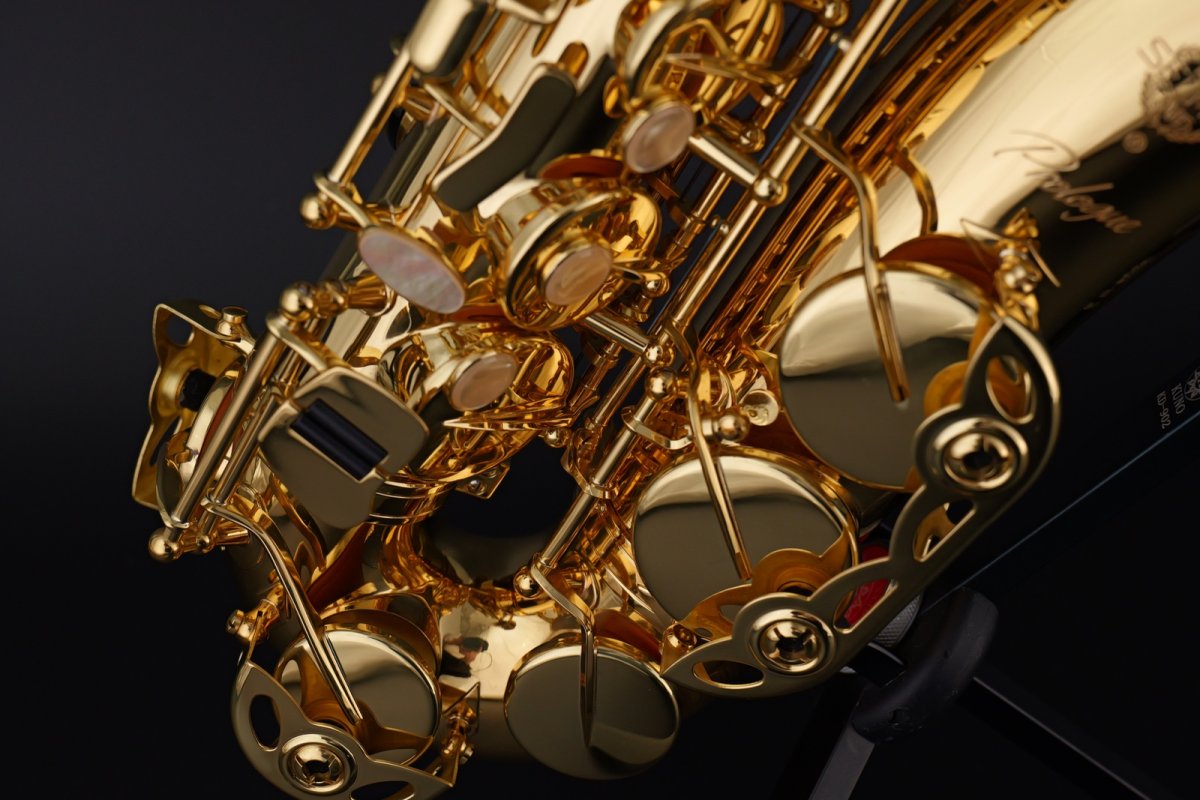 画像8: Selmer Prologue Alto Saxophone (8)