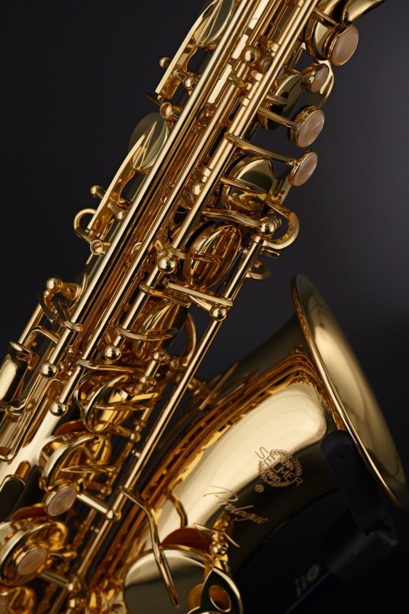 画像3: Selmer Prologue Alto Saxophone (3)